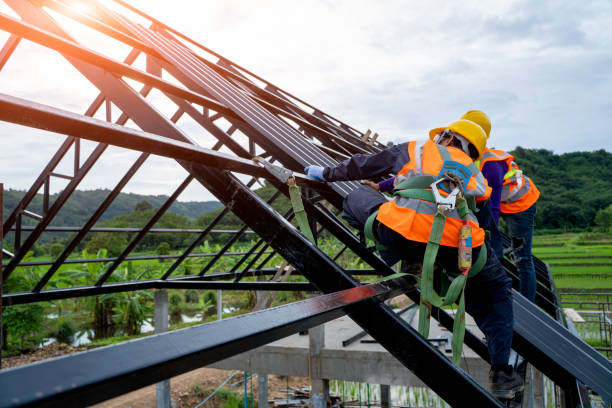 Best Storm Damage Roof Repair  in Svis, IL