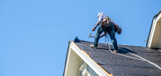 Best Commercial Roofing Services  in Svis, IL